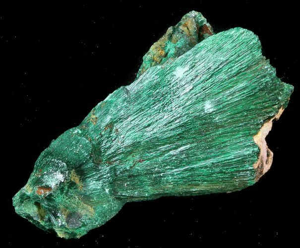 Silky, Fibrous Malachite Crystals - Congo #34942